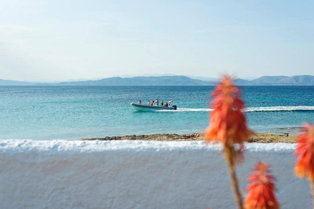 Palmaya Villa, Unique Seafront Experience Vagia  Ngoại thất bức ảnh